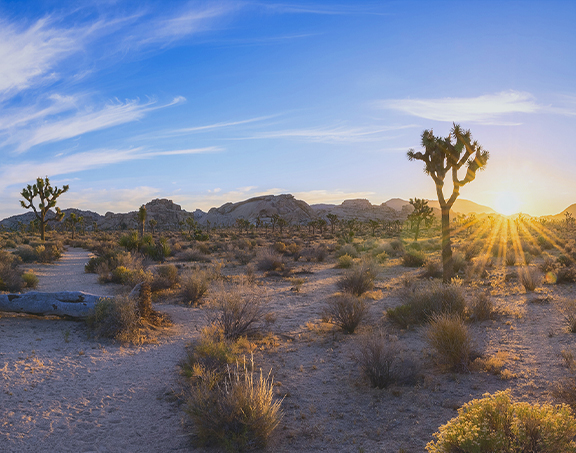 Our Markets High Desert